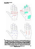 Zones in the hands palm reading